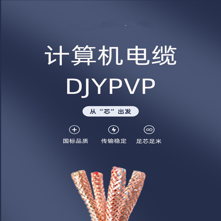 DJYP3VP3計(jì)算機(jī)電纜